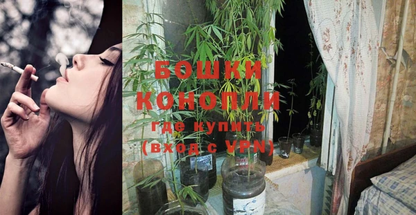гашик Гусиноозёрск
