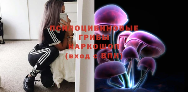 мдпв Вяземский
