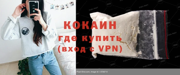 мдпв Вяземский