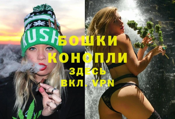 мяу мяу мука Вязьма