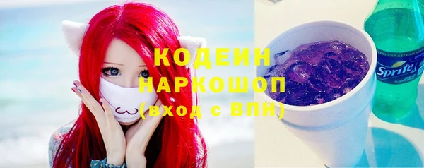 мдпв Вяземский