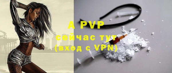 мдпв Вяземский