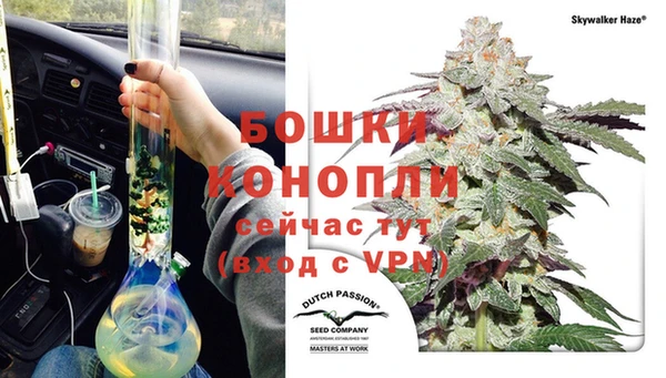 гидра Гусев