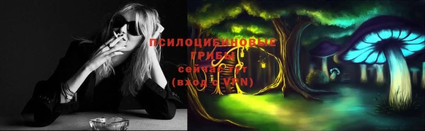 мдпв Вяземский