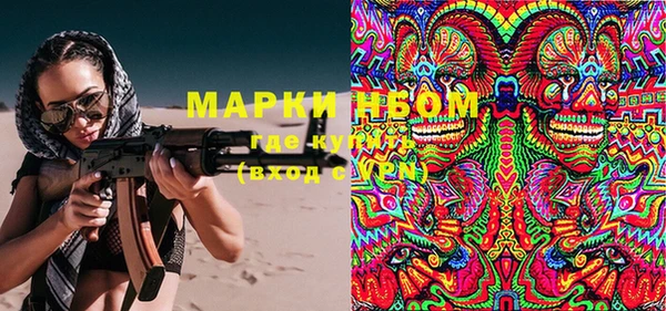 мдпв Вяземский