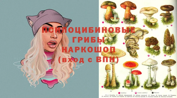 мдпв Вяземский