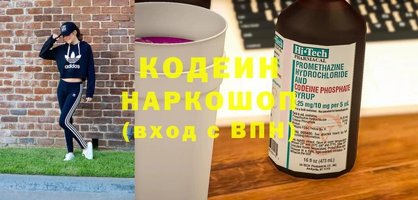гидра Гусев