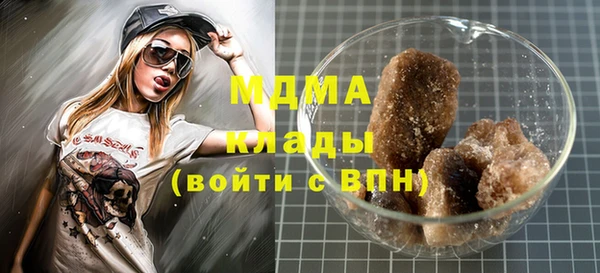 гидра Гусев