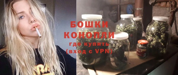 гидра Гусев